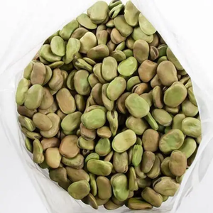 Venta al por mayor de alta calidad Dry Split Fava Beans Broad Beans - Product Image 3