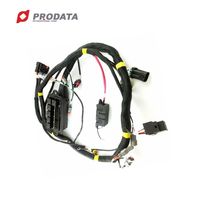Câble blindé personnalisé Accessoires automobiles Faisceau de câbles mâle femelle PVC Noir 3000W Kit de conversion de vélo électrique