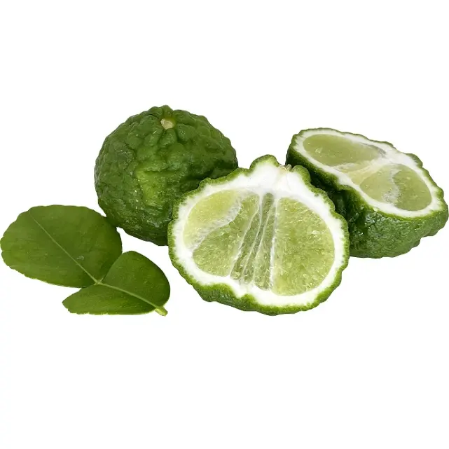 100% Pure En Natuurlijke Geurige Oliën Producent Bulk Sterk Verrijkte Indiase Bergamot Etherische Olie Voor Merkparfum Maken