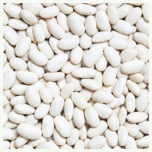 Frijoles blancos de grado superior al por mayor naturales de la más alta calidad para exportar frijoles de riñón blancos grandes de alta calidad - Product Image 1
