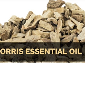 Aceite esencial de Orris natural de calidad superior al por mayor tipo puro - Product Image 2