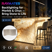 Lámina de Luz LED RAYMATES, Panel de Luz LED Flexible Cortable, Color Blanco, 24V, Panel LED Inteligente Flexible para Debajo de la Piedra