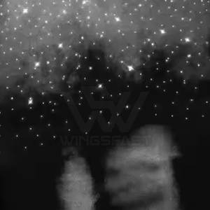 Gran oferta de camisetas de manga corta con diamantes de imitación para hombre, Camiseta estampada de algodón 100% holgada de alta calidad para hombre - Product Image 4