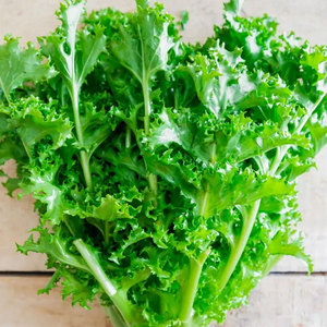 Chicorée d'endives de qualité supérieure: les espèces de légumes à feuilles amères les plus vendues pour la vente en gros et en vrac - Product Image 2