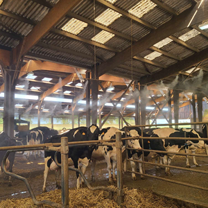 Advanced High-pressure Misting System 60 Bars-Large Single Layer PE Film-Indoor Use for Industry/Farming/Bovine-Adaptable Use - Product Image 4