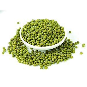 Frijoles Mung verdes al por mayor Frijoles Mung Vigna para exportación Frijoles Mung frescos y secos orgánicos y sin OGM disponibles para la venta - Product Image 2