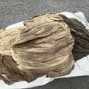 Carne fresca seca y salada Omasum Halal Carne Salada Omasum Buffalo Omasum Vaca Limpiada Estómago Proveedor - Product Image 4