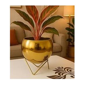 Macetas de Metal para Decoración de Jardín, Hogar y Exteriores, de Alta Calidad, Forma Redondeada, Acabado Esmaltado - Product Image 5