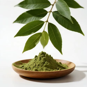 Poudre de feuilles de neem pure 100% de haute qualité pour le visage, la peau, la croissance des cheveux Poudre de feuilles de neem organique disponible dans un emballage personnalisé - Product Image 4