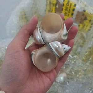 ที่ใส่ผ้าเช็ดปากแบบวงกลมทอมือสไตล์โบฮีเมียนริมชายฝั่ง เหมาะสำหรับงานแต่งงาน โรงแรม ร้านกาแฟ โต๊ะอาหารที่บ้าน และงานอีเว้นท์ ผลิตในเวียดนาม - Product Image 1