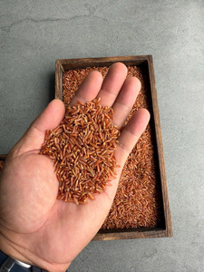 ข้าวแดงตรา OEM - ข้าวแดงโรเตอร์ จัสมิน / ข้าวจัสมินแดง / ข้าวจัสมินแดง (ARROZ JASMIM VERMELHO) จากเวียดนาม (คุณเอลเลน) - Product Image 3