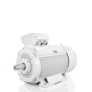 มอเตอร์ไฟฟ้าขายส่ง |   ผู้จัดจำหน่ายมอเตอร์อุตสาหกรรมสามเฟส - Product Image 2