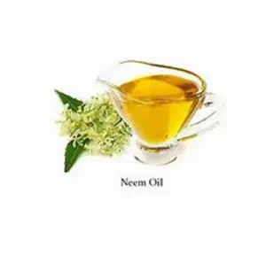 Trusted and Experienced Manufacture Supplier and Wholesaler of Cold Pressed Neem Carrier Oil in Indian Market at Lowest Price