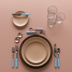 Elegante juego de cubiertos de acero inoxidable con mango de hueso azul cielo para el hogar y la boda Juegos de cubiertos de mesa - Product Image 3