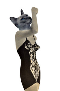 Postales con collage de animales 15x10cm - Collage sarcástico - Product Image 4