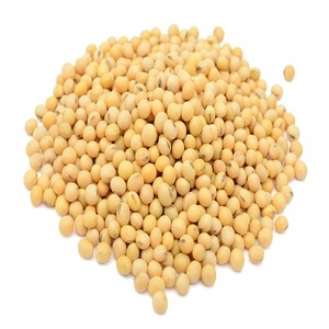 ถั่วเหลืองสีเหลืองออร์แกนิคปลอดสารพิษถั่วเหลืองอบแห้ง - Product Image 5