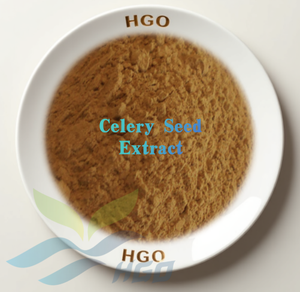 HGO Factory Fourniture directe d'extrait de graines de céleri naturel pur (qualité alimentaire) Spécification 10:1 (extrait de rapport) - Product Image 1
