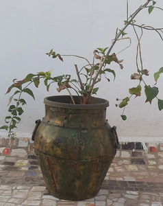 Maceta de Latón de Alta Calidad para Jardines Domésticos y Espacios de Oficina, para Exhibición de Suculentas y Plantas Decorativas - Product Image 2