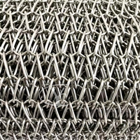 Yuchen Corrosiebestendige RVS Voedseltransportband Premium RVS Gaasband Premium Voedseltransportband