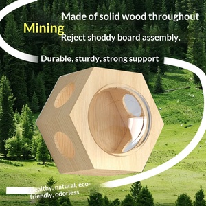 Sistema de Árbol para Gatos de Pared Personalizado al por Mayor con Plataformas de Madera de Pino, Condominio para Gatos, Túnel y Postes de Sisal para Hogares con Múltiples Gatos - Product Image 4