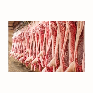 Proveedor de carne de cerdo congelada, carne de cerdo congelada de 4 vías, venta de carne de ave asada superior de 24 meses - Product Image 2