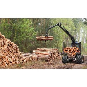 Bois séché, droit et lisse au four à bois de qualité supérieure pour la construction et les meubles - Product Image 3