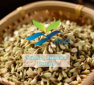 Suministro directo de fábrica HGO extracto puro natural de Sophora Japonica (grado alimenticio) Especificación quercetina 90% (extracto estandarizado) - Product Image 2