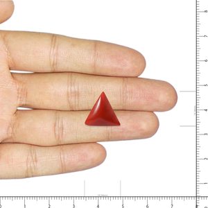 ลูกปัดปะการังสีแดง 9.76 กะรัต เครื่องประดับเปลือกหอยและปะการัง - Product Image 3