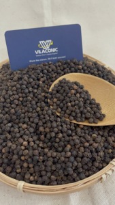 Poivre noir de qualité ASTA super propre en vrac 500/ 550/ 570/ 600G/L/ 5MM 25kg 50kg emballage pour exportation épices et herbes simples ANNA - Product Image 2