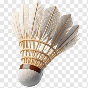 Volant professionnel Storm Bird de logo personnalisé de haute qualité pour une utilisation sportive - Product Image 6