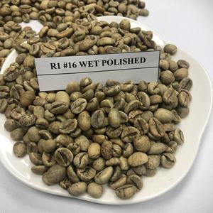 [Top 1 fournisseur] Robusta Green Coffee Beans Premium Grade ISO Certified Vietnam Exportateur de Daklak - Product Image 3