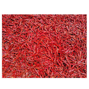Pimientos rojos crudos de calidad superior secos enteros, condimentos de comida de Chile rojo procesado FD Natural, exportador indio - Product Image 1