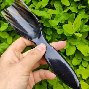 Lujo diseño moderno biodegradable compostable pequeña capacidad azúcar condimento cuerno cucharas cubiertos desechables hechos a mano para - Product Image 4