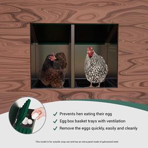 Caja de Nidificación Plegable MG02-S: Evita que las Gallinas Coman <span class=keywords><strong>los</strong></span> <span class=keywords><strong>Huevos</strong></span> con un Diseño Innovador - Product Image 1