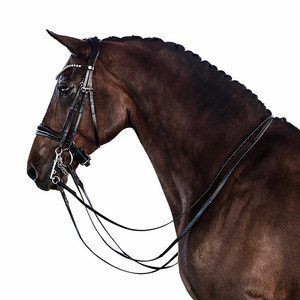 Brevet Essential Double Bridle Seasonal Old Snake certifié ISO 9001 personnalisable sur demande expédition en gros sur mesure - Product Image 4