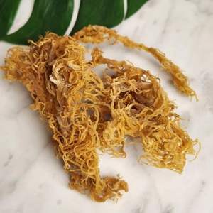 BEST PRODUCT DRIED SEAMOSS NATURAL FLAVOR PURE - Product Image 6