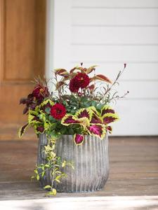 Las jardineras de metal decorativas más vendidas para uso en jardín al aire libre en alta calidad - Product Image 6
