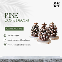 Potpourri Bunga Kering Organik Kosmik Grosir untuk Dekorasi Pohon Natal, Halloween, Hari Ayah, dan Pernikahan, dengan Kerucut Kayu Alami