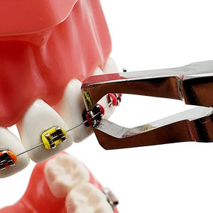 Fórceps de extracción de raíz de ortodoncia de alta calidad, alicates de raíz rota Dental profesional de acero inoxidable, instrumentos quirúrgicos - Product Image 1