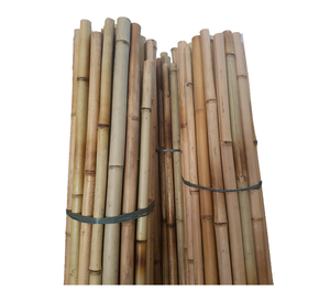 Suministro de exportación de palos de bambú de fabricante vietnamita para compradores de construcción - Product Image 1