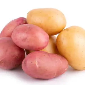 Fresh Vegetables Cheap Price Fresh potatoExport from Indian Supplier for Bulk