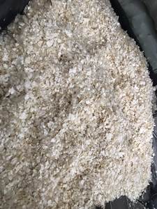 Escamas de pescado secas para la fabricación de colágeno | Puro, limpio, listo para procesar | Sra. Lily - Product Image 2