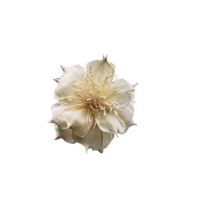 Hecho a mano 8 cm Sola flores de madera difusor ecológico algodón Natural plantas decorativas artificiales flores hechas a mano plantas - Product Image 1