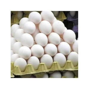 Huevos de Gallina de Alta Calidad, Frescos y Naturales, Precio al por Mayor, Productos Animales - Product Image 3