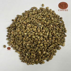 Vietnam S18 Arabica coffee beans <b>clean</b> <b>green</b> dry processing unroasted wholesale direct from farm OEM/ODM Custom packaging - Product Image 2
