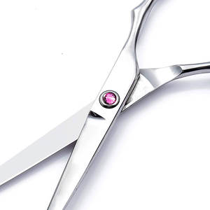 กรรไกรตัดผมสำหรับเด็กกรรไกรตัดผมสเตนเลสสตีลขนาด6.0นิ้วพร้อมใบมีดคมสำหรับมืออาชีพโลโก้ตามสั่ง - Product Image 4