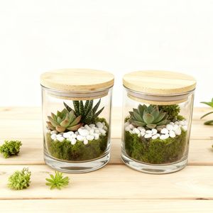 Barattoli in Vetro da 10oz dal Design Elegante con Coperchi in Bambù per Coltivazione di Piante da Finestra - Succulente e Piante Aeree - Product Image 1