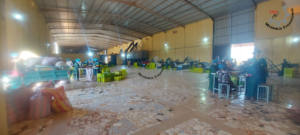 Machine de traitement des noix de coco, nivellement de la taille des tresses crus, mm - Product Image 2