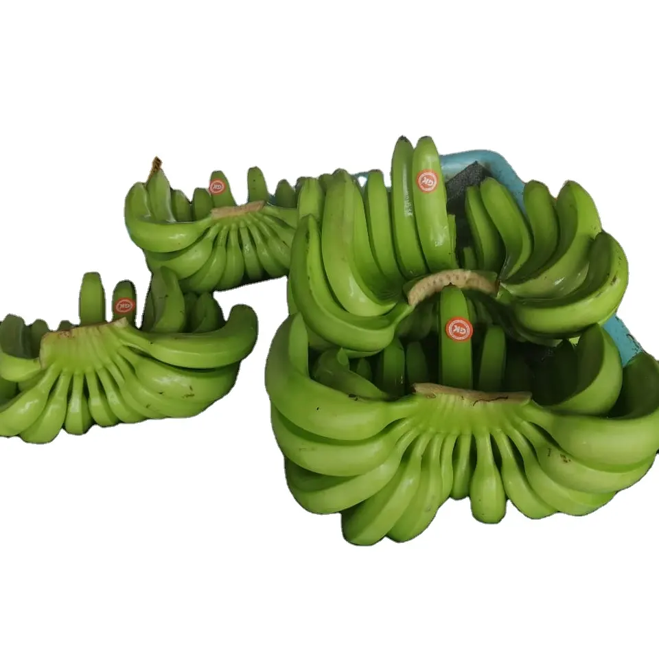 Свежий кавендиш банан-100% высокого качества Зеленый Свежий Кавендиш Банан по заводской цене, низкая цена