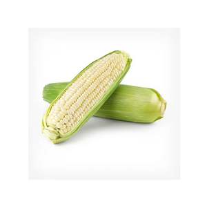 Maíz blanco de primera calidad a la venta Maíz no OGM de alta calidad Ideal para varios usos culinarios y agrícolas - Product Image 4